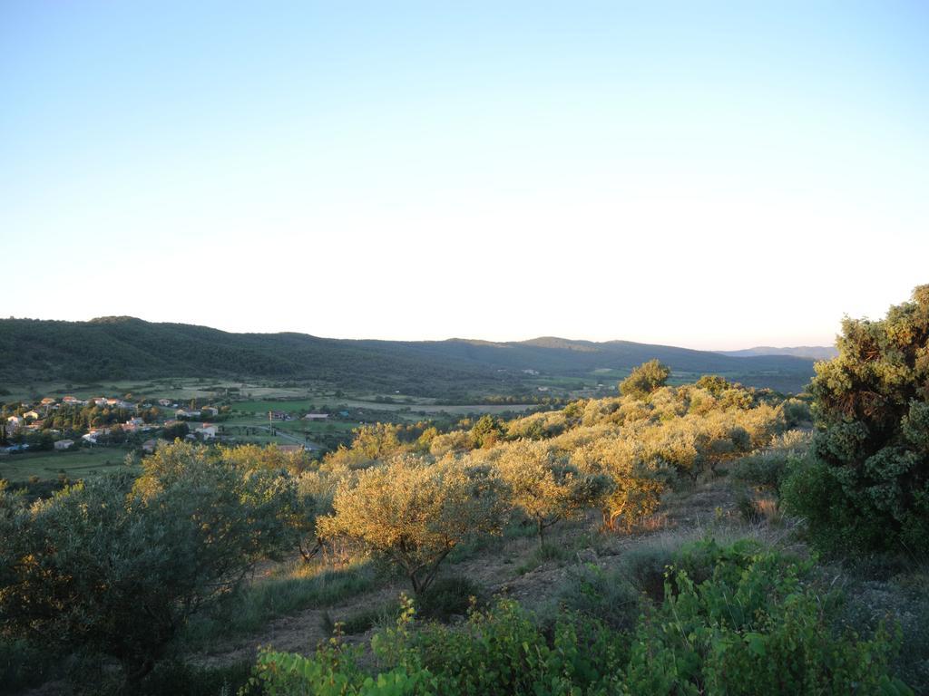 Pontet-Fronzele Agrotourisme Ecologique, Maison D'Hotes & Spa Lagorce  Eksteriør bilde