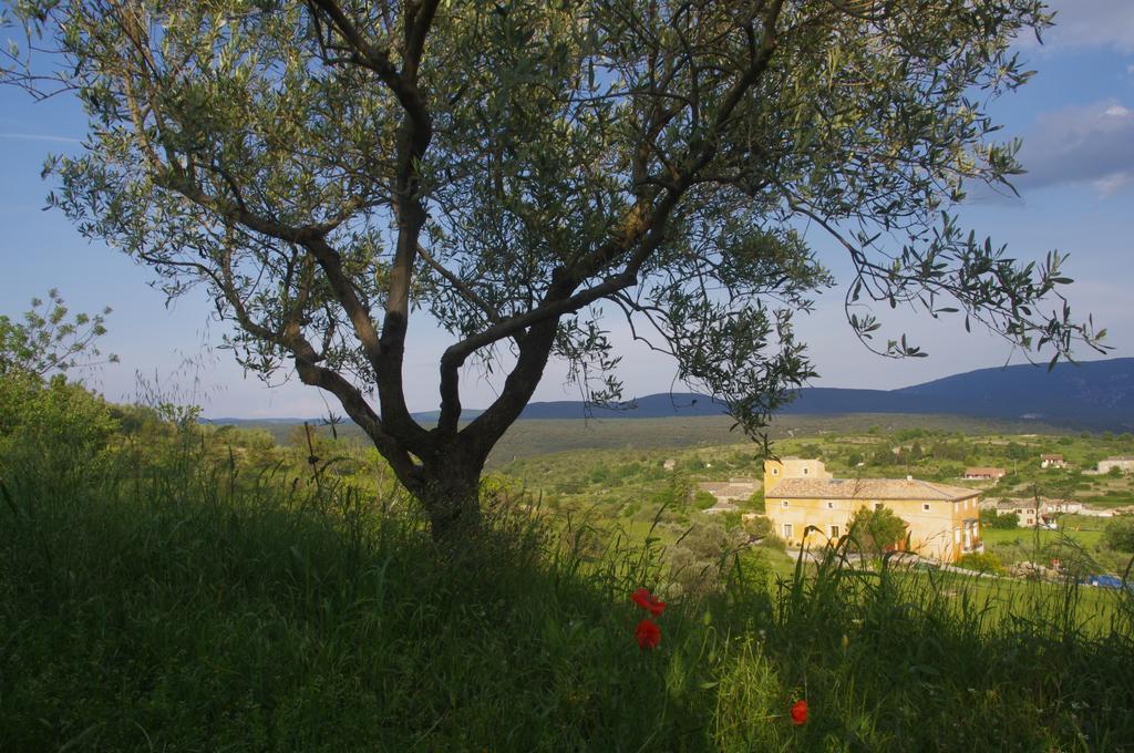 Pontet-Fronzele Agrotourisme Ecologique, Maison D'Hotes & Spa Lagorce  Eksteriør bilde