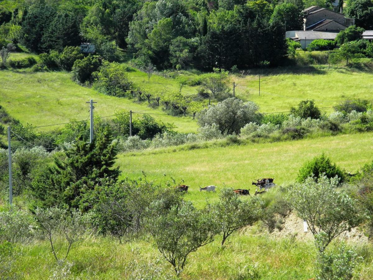 Pontet-Fronzele Agrotourisme Ecologique, Maison D'Hotes & Spa Lagorce  Eksteriør bilde